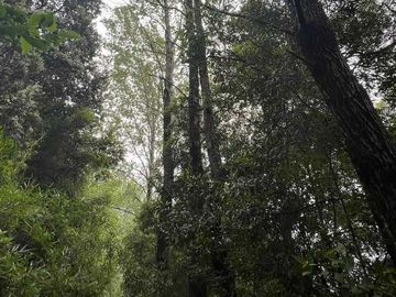 Parcela en venta en LOS LAGOS