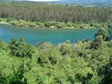 Parcela en venta en LOS LAGOS