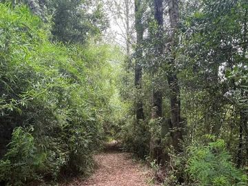 Parcela en venta en LOS LAGOS