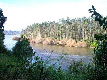 Parcela en venta en LOS LAGOS