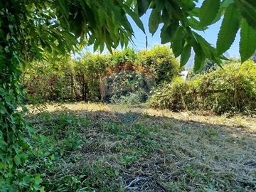 Sitio en venta en Pucón
