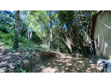 Venta lotes en MINCA – Sierra Nevada de SANTA MARTA, Colombia