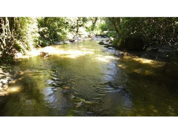 Venta lotes en MINCA – Sierra Nevada de SANTA MARTA, Colombia