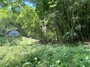 Venta lotes en MINCA – Sierra Nevada de SANTA MARTA, Colombia