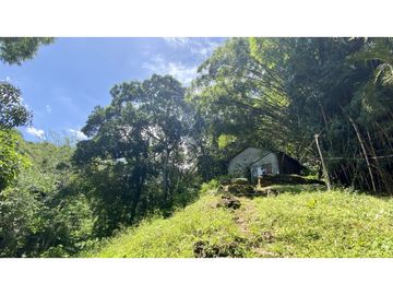 Venta lotes en MINCA – Sierra Nevada de SANTA MARTA, Colombia