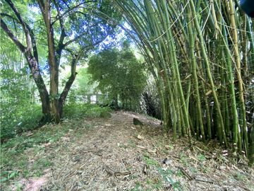 Venta lotes en MINCA – Sierra Nevada de SANTA MARTA, Colombia