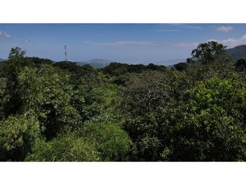 Venta lotes en MINCA – Sierra Nevada de SANTA MARTA, Colombia