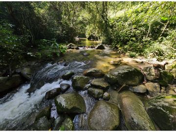 Venta lotes en MINCA – Sierra Nevada de SANTA MARTA, Colombia