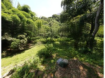 Venta lotes en MINCA – Sierra Nevada de SANTA MARTA, Colombia