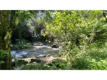 Venta lotes en MINCA – Sierra Nevada de SANTA MARTA, Colombia