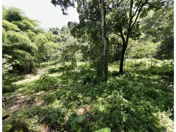 Venta lotes en MINCA – Sierra Nevada de SANTA MARTA, Colombia