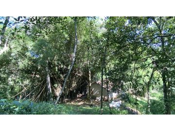 Venta lotes en MINCA – Sierra Nevada de SANTA MARTA, Colombia