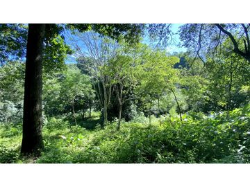 Venta lotes en MINCA – Sierra Nevada de SANTA MARTA, Colombia