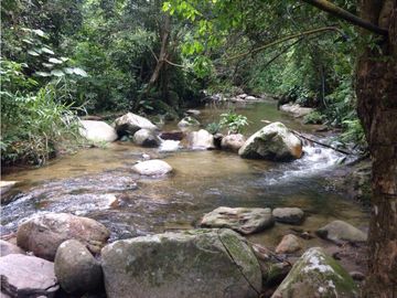 Venta lotes en MINCA – Sierra Nevada de SANTA MARTA, Colombia