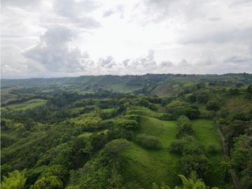 Finca ganadera en venta sector Montenegro