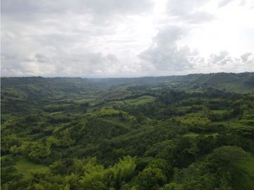Finca ganadera en venta sector Montenegro
