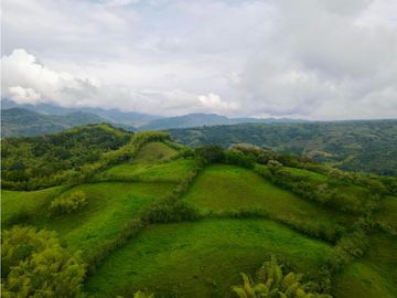 Finca ganadera en venta sector Montenegro