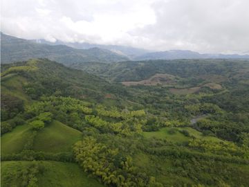 Finca ganadera en venta sector Montenegro
