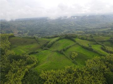 Finca ganadera en venta sector Montenegro