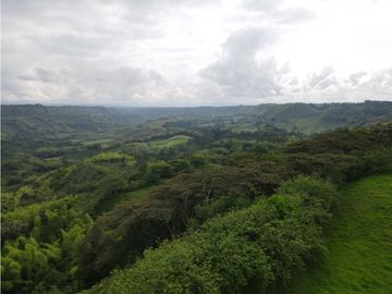 Finca ganadera en venta sector Montenegro