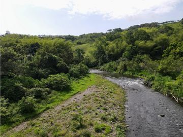 Finca ganadera en venta sector Montenegro