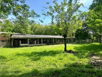 Finca ganadera en venta sector Montenegro