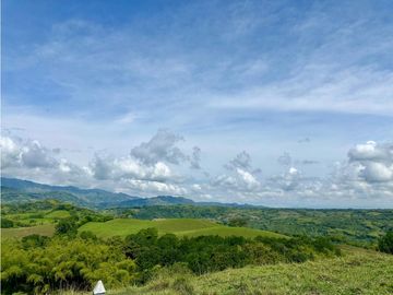 Finca ganadera en venta sector Montenegro