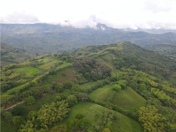 Finca ganadera en venta sector Montenegro
