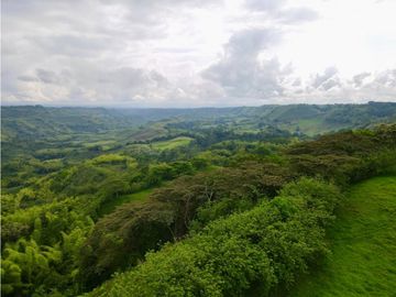 Finca ganadera en venta sector Montenegro