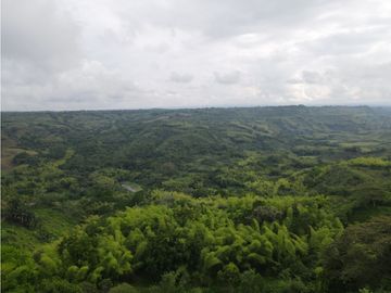 Finca ganadera en venta sector Montenegro