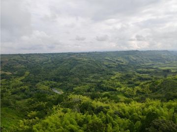 Finca ganadera en venta sector Montenegro