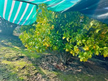 Parcela en venta en FLORIDA