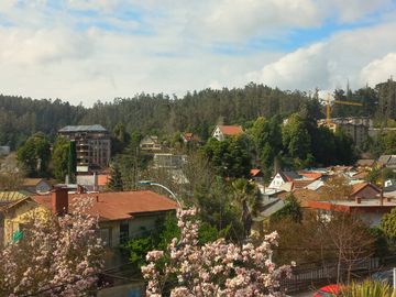 Local comercial en venta en CONCEPCIÓN