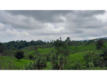 Venta de Hacienda en el Sector Santo Domingo, a 16 km de la Ciudad.