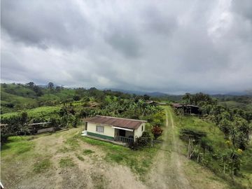 Venta de Hacienda en el Sector Santo Domingo, a 16 km de la Ciudad.