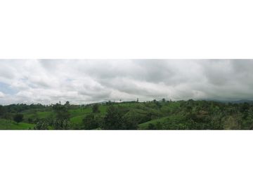 Venta de Hacienda en el Sector Santo Domingo, a 16 km de la Ciudad.