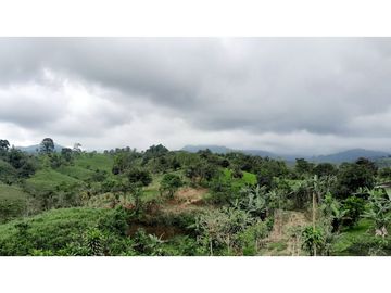 Venta de Hacienda en el Sector Santo Domingo, a 16 km de la Ciudad.