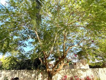 Residencia en venta en Colonia Doctores Cancun