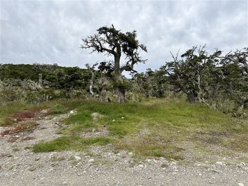 Sitio en Venta en Ruta 9 norte km 15 Altos del Monte