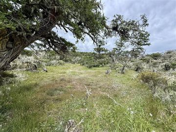 Sitio en Venta en Ruta 9 norte km 15 Altos del Monte