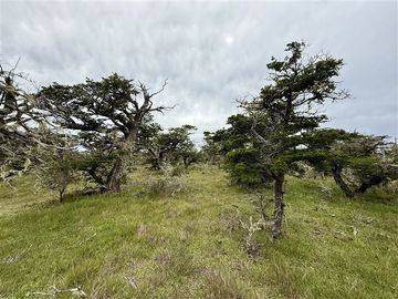 Sitio en Venta en Ruta 9 norte km 15 Altos del Monte
