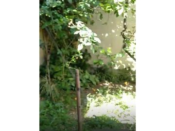 VENTA casa 3 ambientes CASEROS, Pdo. Tres de Febrero escucha propuesta