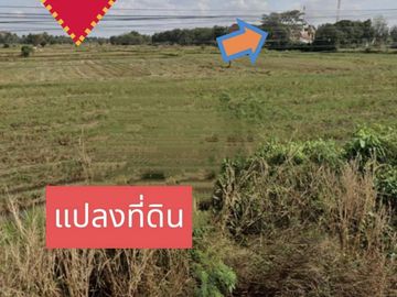 Land for sale in Si Lako, Nakhon Ratchasima