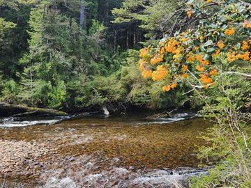 Parcela en venta en AYSÉN