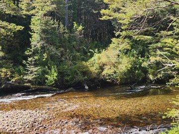 Parcela en venta en AYSÉN