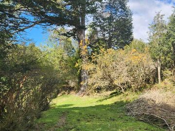 Parcela en venta en AYSÉN