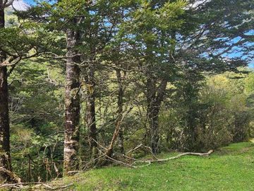 Parcela en venta en AYSÉN