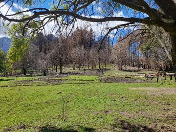 Chacra - Lago Puelo