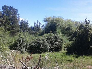 Chacra - Lago Puelo