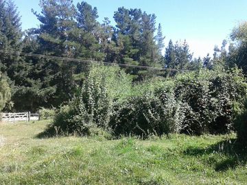 Chacra - Lago Puelo